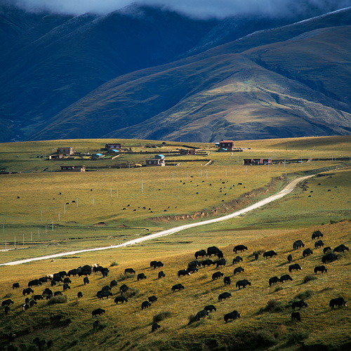 Western Sichuan Province, China
