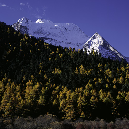 Yading Nature Reserve, Western Sichuan Province, China