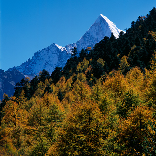 Yading Nature Reserve, Western Sichuan Province, China