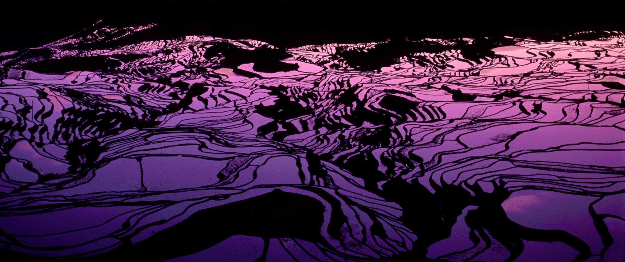 Terraced rice fields of Yuanyang County, Yunnan Province, China